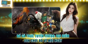 Đá gà trực tuyến Five88