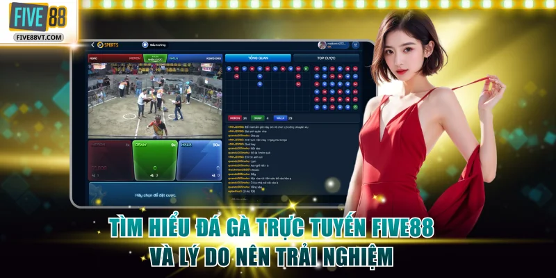Tìm hiểu đá gà trực tuyến Five88 và lý do nên trải nghiệm